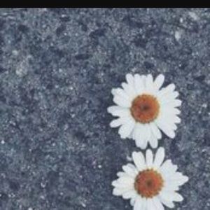 Meet your Posher, Randi